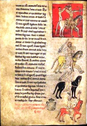 What is an illuminated manuscript Apocalipse do Lorvão