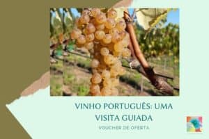 curso de vinho português online
