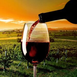 curso de vinho português voucher de oferta