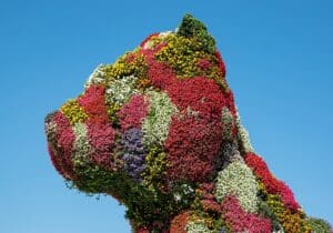 Puppy, by Jeff Koons, sculpture in botanical elements at the Guggenheim in Bilbao