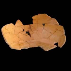 Peça em fase de intervenção de conservação de cerâmica arqueológica