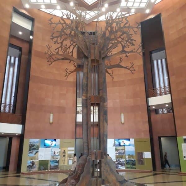 voucher curso de museologia e patrimonio