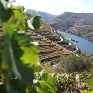 Rio Douro e socalcos de vinhas, Portugal