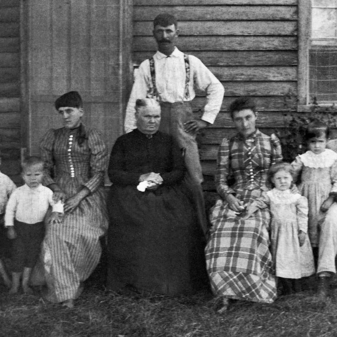 cursos de história da família